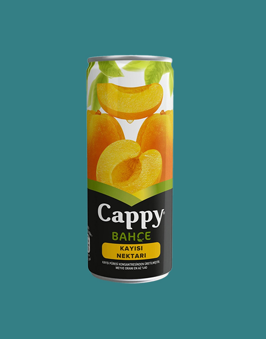 Cappy-Kayisi